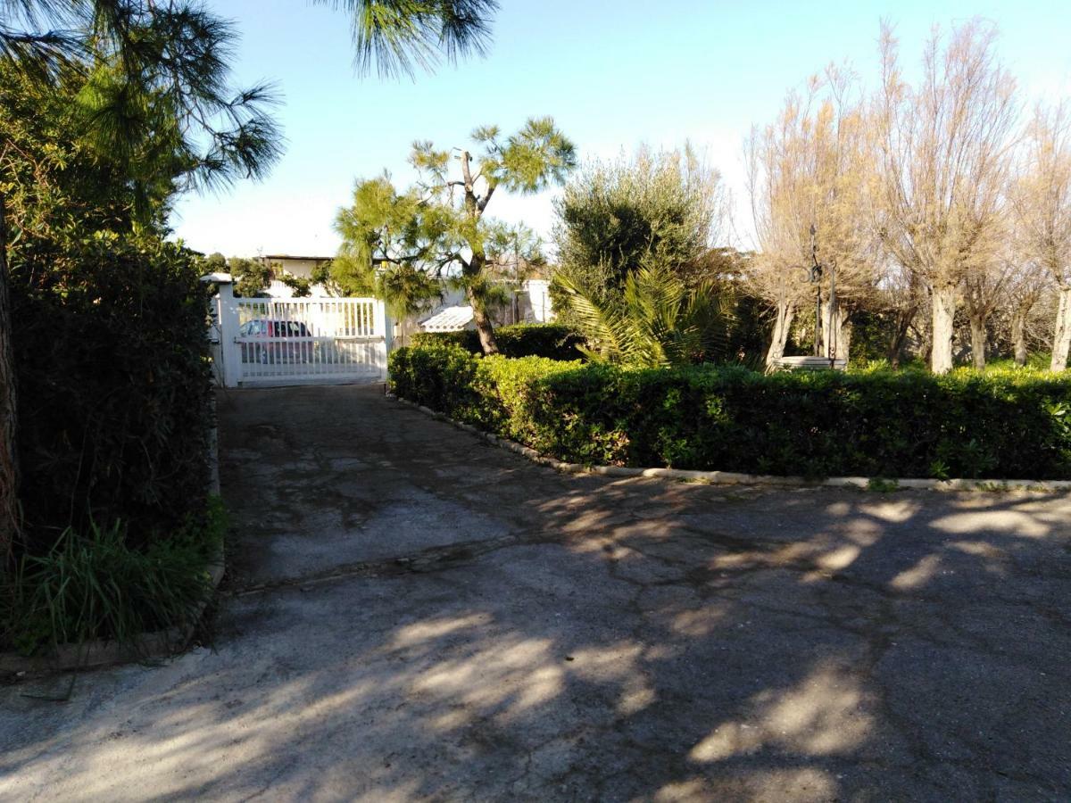 Pietra Di Mare Bed & Breakfast บารี ภายนอก รูปภาพ